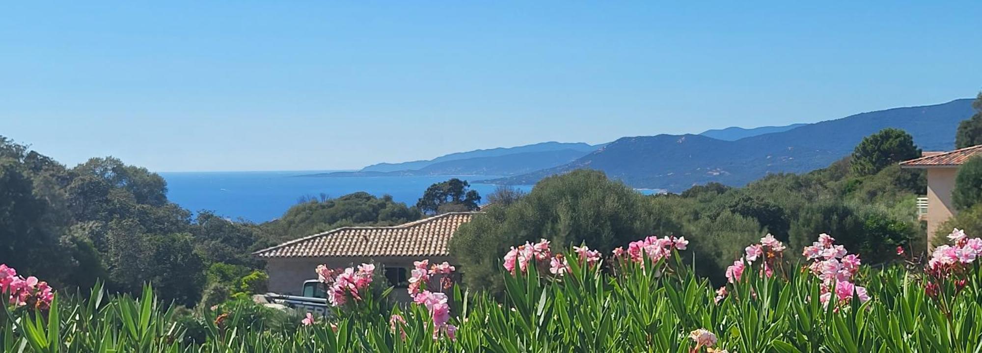 T2 Propriano Vue Mer, Neuf, Climatise Et Classe 3 Etoiles Viggianello Exterior photo